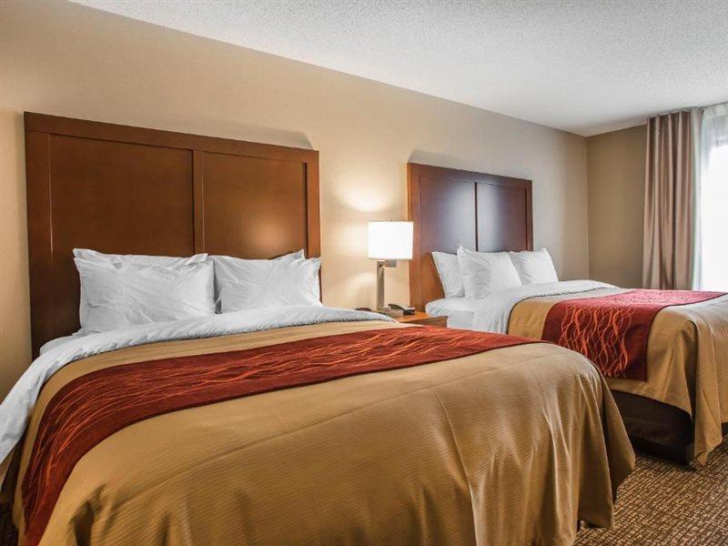 קרלייל Comfort Inn Pa Turnpike - I-81 מראה חיצוני תמונה