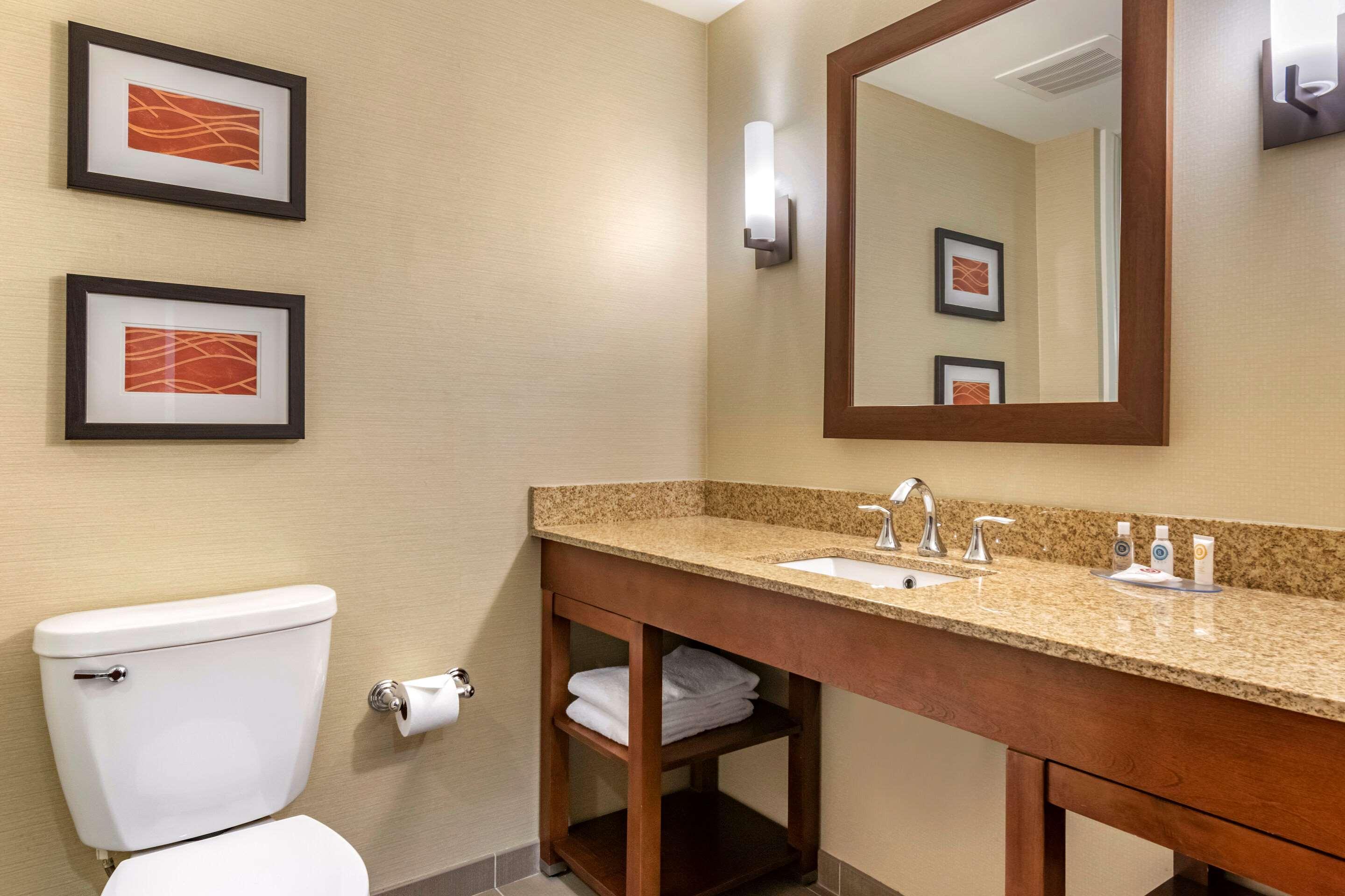 קרלייל Comfort Inn Pa Turnpike - I-81 מראה חיצוני תמונה